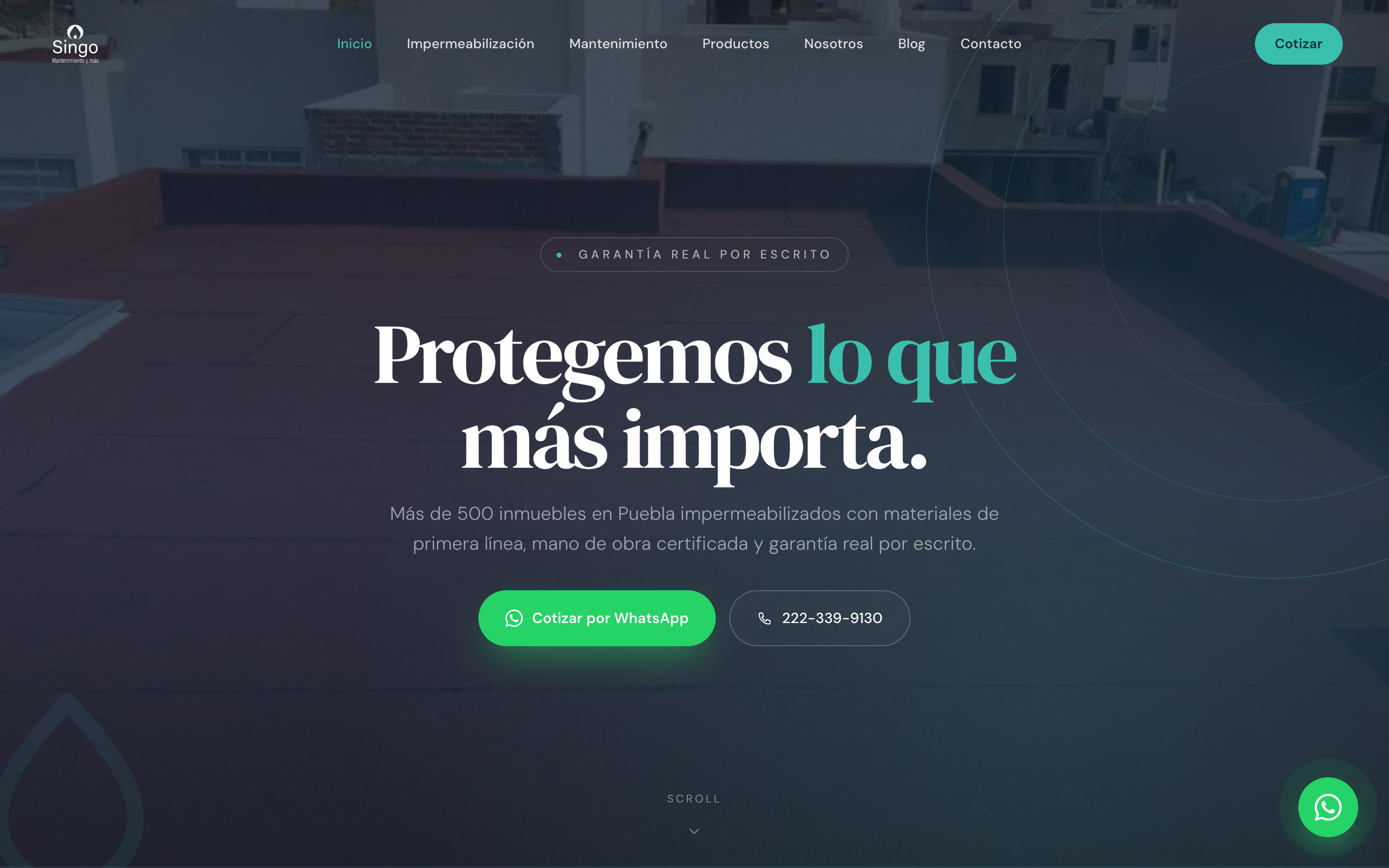 Sitio web de SINGO, empresa de impermeabilización en Puebla